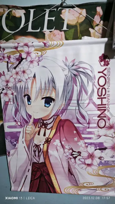 非常不错好看，材质也不错建议买，只不过就是物流费有点贵，但是还是挺快的，挂画非常干净没污痕，比较满意的购物