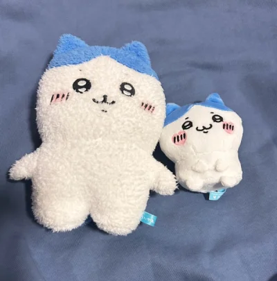 这次买的是两个吉伊卡哇的小八玩偶，小八是我喜欢的角色之一，全程十四天到手。物流选择竹蜻蜓，速度很快！但是近期合单速度好慢，希望尽快恢复合单速度！客服态度也很好，会继续使用这个软件！