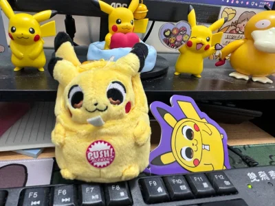 太太太可爱了吧！！！期待已久的终于收到了，太可爱咯，挖了好久，终于拥有它了，太开心了，太可爱了吧皮卡丘！！！