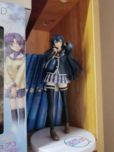 很棒的一次购物体验，东西买得多可以凑一单发运费也不是很贵，能在煤炉上淘到clannad的老物真的很不错。