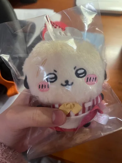 这次没有勾选那两项加固保护措施（一是因为没钱了而是感觉这两个似乎不加保护也无所谓），平安到货～太可爱啦