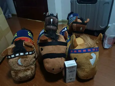 无敌，一次性买了五只小马，北黑、光钻、乐透心、鲁道夫、好歌剧。太爽了，价格比淘宝便宜多了?