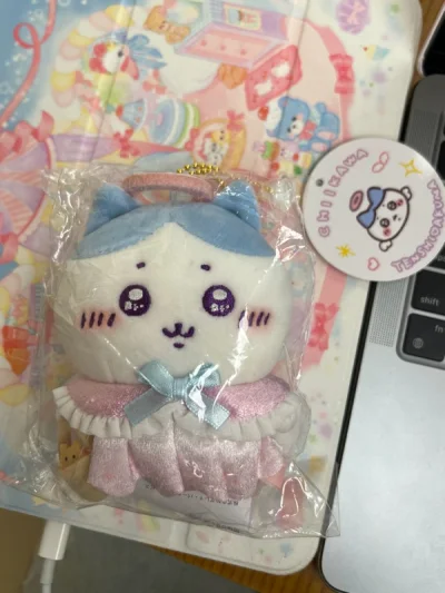 买了一个可爱的小挂件，状态是全新带吊牌，收到后与商品描述一致，感觉很方便的软件。这单物流选择的竹蜻蜓，十天左右收到！最近竹蜻蜓被禁止使用了，很苦恼，其他物流真的很不方便，合单速度也是非常慢了，希望尽快恢复！