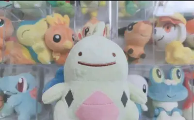 水水獭我收了一个单指的指偶又买了一个双指的指偶，我把它们带在手上好可爱呐，还有宝可梦由基拉毛绒它是百变怪系列的非常稀有呐感谢挖煤姬