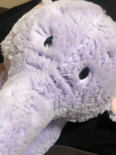 最近合单发货效率好低的，等了好久好久才能收到一个箱子，所幸物品都完好，不过这箱淘的商品状态都比较一般，期待下一个大箱子啦