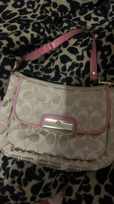 这单到货还是很快的，真的给力！买了很多外套，包包还有中古玩具。包包们状态都很好，特别是Coach那个包，很新很新。Furla的那个包包也很好看。