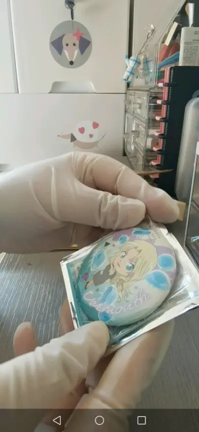 都是雅虎拍卖上拍到的好价，经历了半个月终于安全到货了。竹蜻蜓到国内后速度就快了，2天就到了，就是日本转运花了太多时间