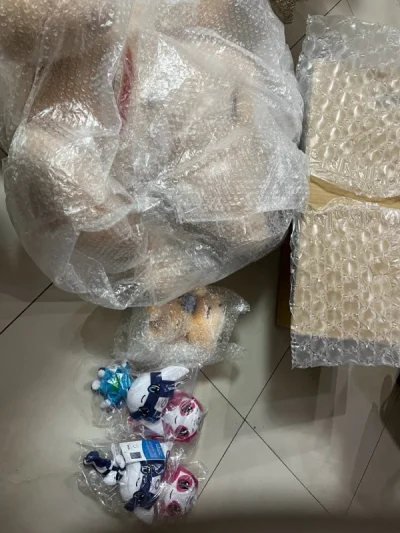 这次买的吉祥物很大 走的海运 原以为要三十多天结果二十多天就到了 很快 很满意 包装的也很好 都有泡沫裹着