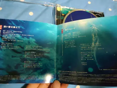 这次这一单全部就是泉水姐姐的一单，三张大碟专辑，加一套2CD的1999游轮演唱会live版套装，最开心就是其中一张是泉水姐姐的第一张大碟专辑，姐姐的传说就是从这张专辑开始打开了，另外游轮演唱会live套装当年只限量发售30万张，只有600位幸运儿被抽中可以上船，别提...