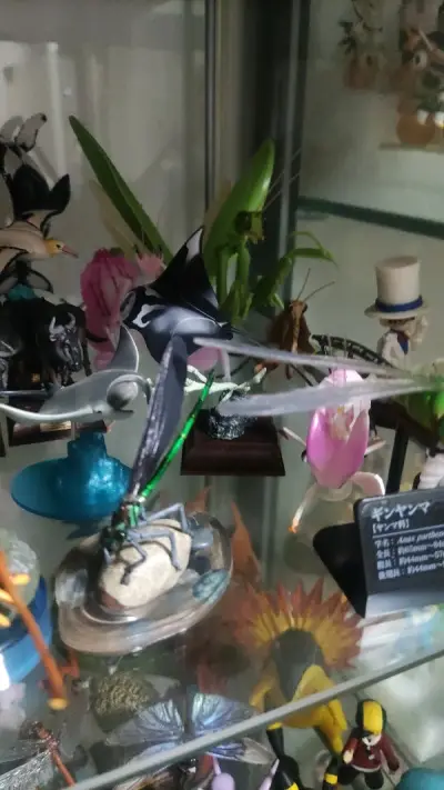 又有新玩具到了，开森。第n次使用挖煤姬了。挖煤姬是个很好的平台，购物方便，手续费实惠，打包给力，东西到手八角尖尖。以后还会继续使用~