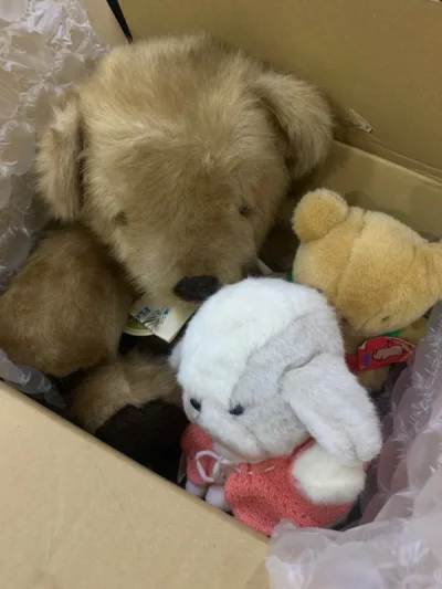 竹蜻蜓到货！几只很可爱的玩具。这次物流快了很多，很惊喜。熊熊很大一只超可爱，很喜欢?希望年前再收一波快递！