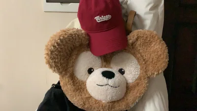 哇脸超级甜，我会好好爱护Duffy的，毛流感果然还是东迪的才是一绝?这次购物体验特别好，卖家发货速度很快，包装的也特别好，下次有需要还会来！