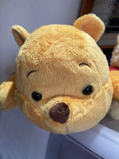 竹蜻蜓真的又快又稳，这次合单速度也还可以，快递不暴力，到了的时候非常完好，包装的也很好，泡泡纸很有安全感，每次都塞很多