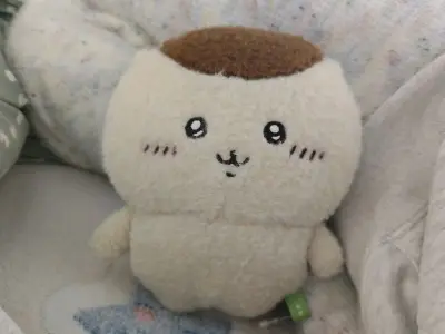 包装很好 物流也可以 和实物图没差别 第二次在挖煤姬买 还可以 栗子超级超级可爱 就是运费有点贵 开心！