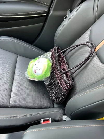 在挖煤上第一次海淘包包，一下子就被这个黑色和紫色的搭配吸引住了！而且有一边还有一个蝴蝶结～包包看上去有点小但是巨能放东西！而且非常优雅。
从挖煤除去买到送去仓库。全程耗时从揽收到收货六天送到！还是蛮快的！ems真的贵有贵的道理！我还要继续买买买！