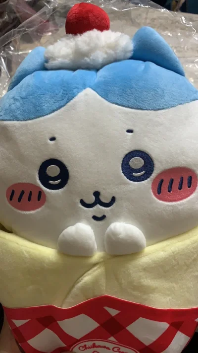 第一次选竹蜻蜓就遇上通知说大尺寸毛绒限制，正好切的是a赏抱枕，等待审核的时间真的煎熬…一直担心被打回来的话年底ems不方便发…好在顺利通过了，而且确认后是真的飞一般的抵达！新一批合单也走了竹蜻蜓，希望顺利收到