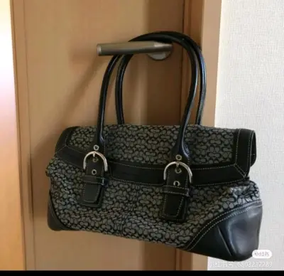 这次的包包都好好看，每一只都很有特色，价格也比自己在国内买划算很多。需要注意一点的是，大家在买包包的时候要注意看图片的细节，有时候不仔细看的话，会漏看包包的瑕疵，不过这次体验感非常好，包包成色都很不错。