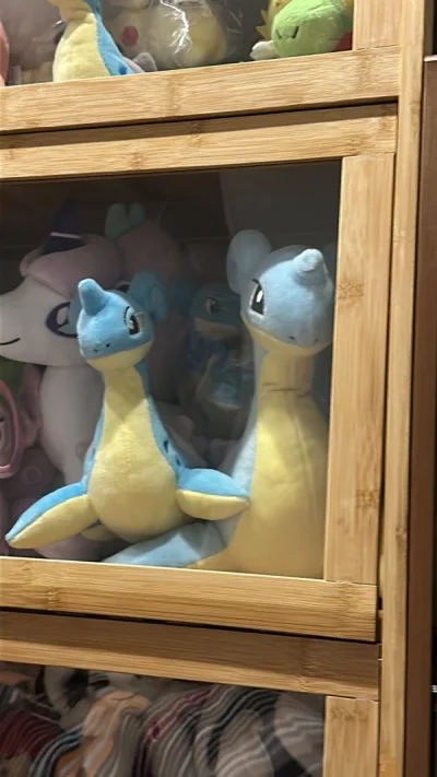 在挖煤姬海淘非常方便，下单后秒切，而且经常有优惠劵。特别是我要夸爆竹蜻蜓！！！正常即使是海运700g也要1500日元折合八九十元，竹蜻蜓1kg才46人民币….而且差不多一个月内就到力，国内是中通快递，运输很仔细+基本没有地方不能收中通吧w宝可梦中心2016的这个拉普...