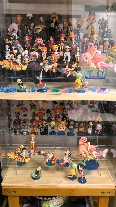 这次淘了一些拆摆的，和一些新的wcf东西都非常不错，虽然拆摆的有些有瑕疵，毕竟也是没办法的，已经很满足了