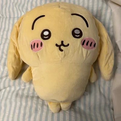 等了好久啊！乌萨奇宝宝终于到家了，一切都是值得的！可爱晕了手感软乎乎的～好喜欢(≧▽≦)耶