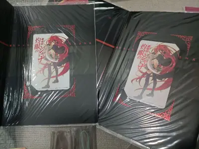 之前在别的平台海淘过，发现还是挖煤姬的海淘好！合单速度和esm的发货速度出奇的快！东西都保护的很好，因为我买的大部分都是纸质的，容易坏，东西都包了好几层！东西的品相也非常好！