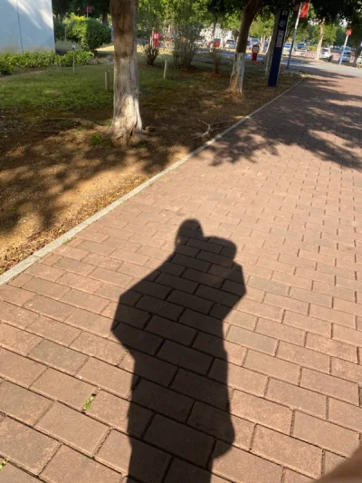 真的非常大一件，拿到的时候我都惊呆了，寄的都是海报，不仅里面，外面也包裹得这么好，爱死挖煤姬了，真的没有想到这么大个包裹啊！还以为是重的没想到很轻所以没被税～