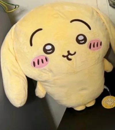 很快的竹蜻蜓，大概只用了十几天就到了，没压缩拿出来特别蓬，超级萌的宝宝们！运过来的箱子很厚实，胶布也贴了好几层，很牢固！