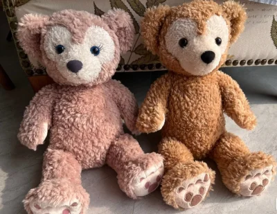 这次收到的达菲和雪莉玫，还有一堆发箍都非常非常新。小包和商店里刚买的没区别，只不过是没有吊牌了，我非常满意，希望下次还能见到这样的漏！！