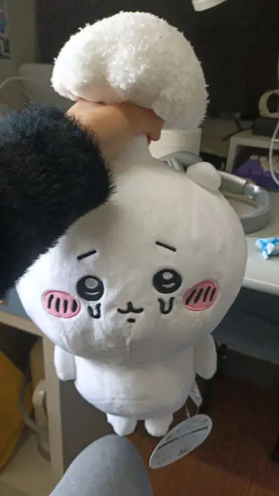 呀哒呀哒————特别可爱的寄生吉伊，从下单到收到货大概只用了十多天。用挖煤姬很多次了，每次都安全收到货，很靠谱。