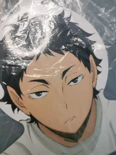 用挖煤姬切的第不知道多少单了，上骏河屋切了一些梦情，竹蜻蜓物流比审核快，最重要是运费便宜取货方便而且靠谱，安全下车~