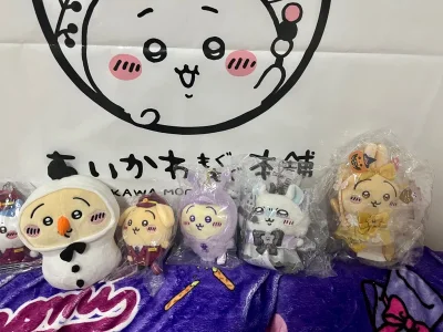 这次买的是飞鼠和乌萨奇，飞鼠没有什么问题，但是乌萨奇卖家写了新的，收到后却没有吊牌，我后面发现卖家图片里故意没有拍吊牌，大家以后买东西一定要小心！