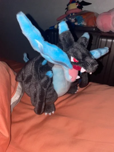 很好的一次购物体验就是ems实在太慢了，喷火龙有点小瑕疵但是问题不大，智蛙是真的帅以后还会购买，第一次使用