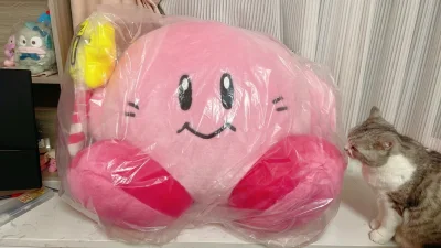 这款是受注生产，入坑比较晚，刷到煤炉有全新的，就立刻挖煤姬下单了~
因为体积比较大，超过日本邮政体积限制，还好挖煤姬有做箱服务，经历了一番胆战心惊，最终安全下车了~我宣布这就是我家的传家宝了(๑˃̵ᴗ˂̵)و