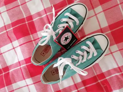 反季买衣服咱听说，我来一个反季买鞋，看到便宜还是日产 颜色也还挺适合夏天咱就撸了，可又是女码 女码是真的不好整