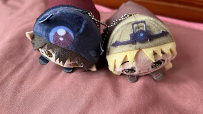 第一次买娃娃 担心会不会二手的不干净 没想到非常的干净 没有污渍什么的 比在国内买便宜了好多 选的是竹蜻蜓 很快速方便 赞！