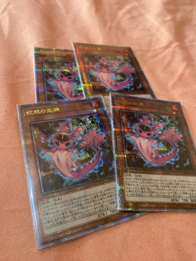 这次在平台商店购物非常愉快。物流顺畅服务周到，商品品质优良，价格合理。我很高兴能够在这里找到我想要的商品，并且会再次光顾。