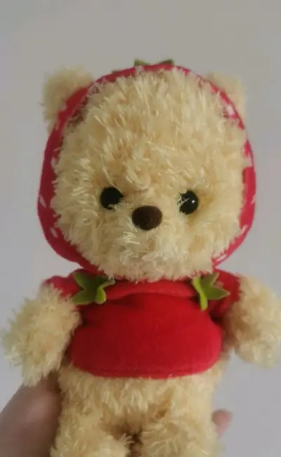 9.26发出，10.12收到，共计16天。当时寄竹蜻蜓还挺快的，近期慢了。重量855g，运费46r。卷毛噗噗很可爱的！竹蜻蜓不用过海关还是比较快的！