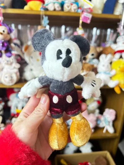 迪士尼的米妮米奇，都超级好看，还有美乐蒂都很乖，发货以后到手几天拿到，速度真的快呀！但是合单还是慢希望能加快速度合单吧！