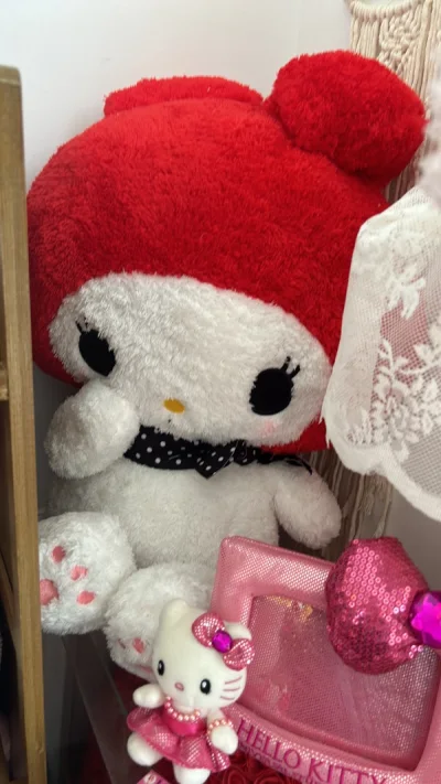 这一单走的竹蜻蜓因为很大所以就发了两个，竹蜻蜓真的审核在合单花了好长的时间，还好发货了到收货五天就收到了～