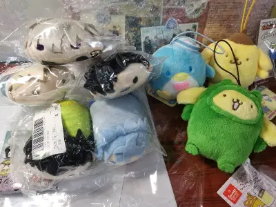 东西一如既往的好，这次同样选的海运，从发货到到手还是花了18天。
这次主要是一些毛绒。好价收到了这个青蛙布丁狗，特别可爱！