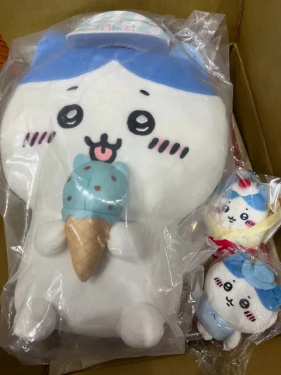 这次用的也是竹蜻蜓，性价比高，速度也可以，到国内后隔一天就到了，包装的也很好，没有压坏，应该是近期最后一单竹蜻蜓，后续会试试海运和其他物流，小八真的太可爱了