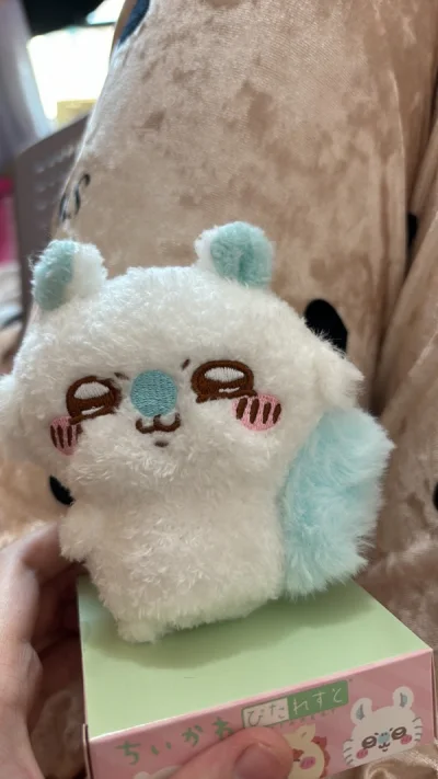 这是一个非常真实的购物体验，说实话，没到之前我真的很担心会是空包或者少发把吊牌给剪掉了，有一个景品运了好久才到集运仓，我都以为是丢见了，我还在想万一丢了我又有什么办法呢？我也很担心，因为是海外的，万一给我发空包的话，我又追不到那边去，所以啊，心情一直都是很忐忑的，知...