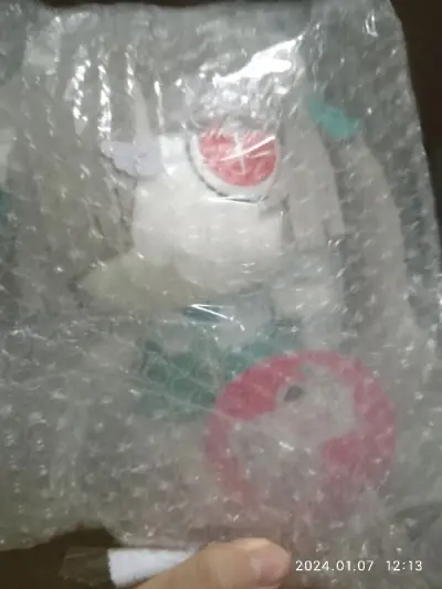 不知不觉我已经在挖煤姬上买了好多了，还有十几个没有运回来哈哈，不过说实话，竞合屋真的很好，我感觉他打着二手的幌子来卖全新，从挖煤姬买骏河屋的手续费还低，用竹蜻蜓的话，运费也低，这两个组合起来是相当的不错哈哈