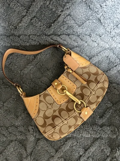 买到了好特别的一只包包！朋友也很喜欢，到手之后转让给朋友了哈哈。成色也很好，比国内二奢平台便宜很多～不到三百就入手了～现在物流也很快，不到一周就到手了