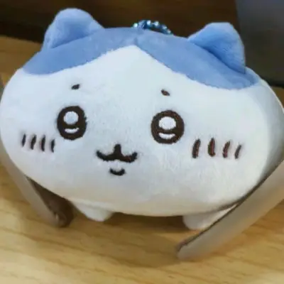 这次买的都是chiikawa的东西，东西比较多，因为部分是毛绒所以部分原包装拆掉了，但是没有任何的漏件，我觉得很好～包装也挺给力！