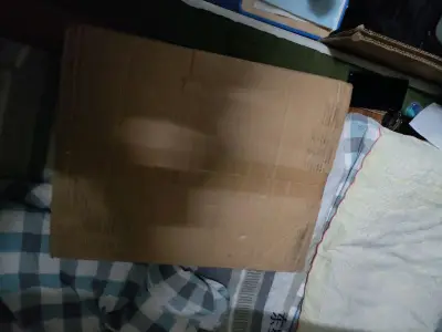 东西收到了，非常完美，物流很快，客服态度，很好，海关通关速度OK，这是我第20个订单，挖煤姬服务真的很好