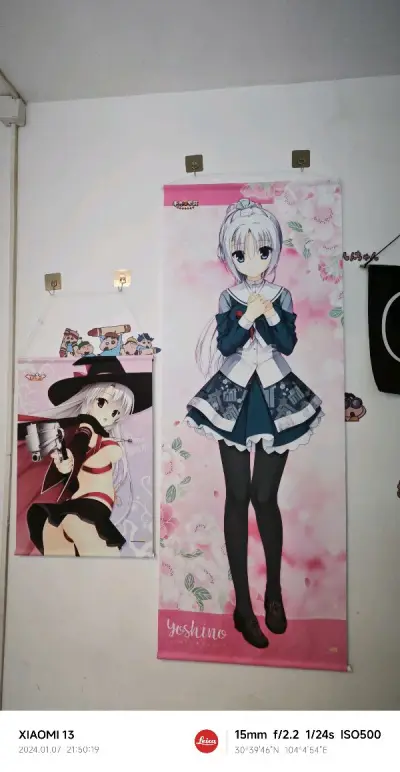 相当不错我挂画，只是收了93的税有点伤心，不过东西确实是好物，收回来也比闲鱼上面的倒?便宜，还想收一幅魔女宁宁不知道什么时候能淘到