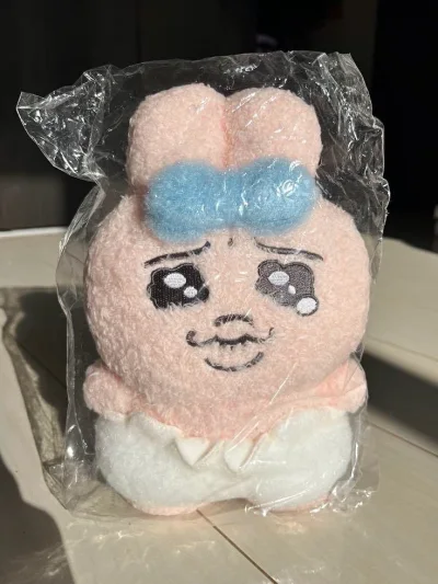 这个月到的第二个竹蜻蜓邮件！自从尝试过竹蜻蜓后能运的单基本都走竹蜻蜓了，清关很顺利也比较省心，过了预报备和发货审核后时效很快，好评。之前优惠活动时候买了几个毛绒，一起攒着发竹蜻蜓运费也比较实惠，yhm包装的很用心，合单完会减重，泡沫纸把商品保护的很好，以后还是会继续...