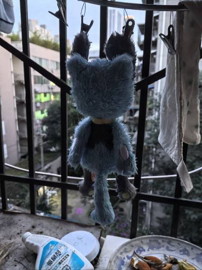 小狗(利欧路)到了