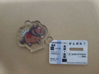 自由岛钥匙扣